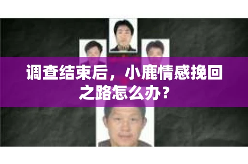 调查结束后，小鹿情感挽回之路怎么办？