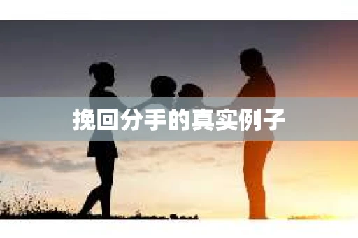 挽回分手的真实例子