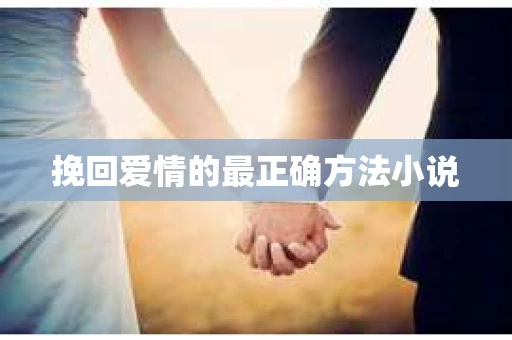 挽回爱情的最正确方法小说