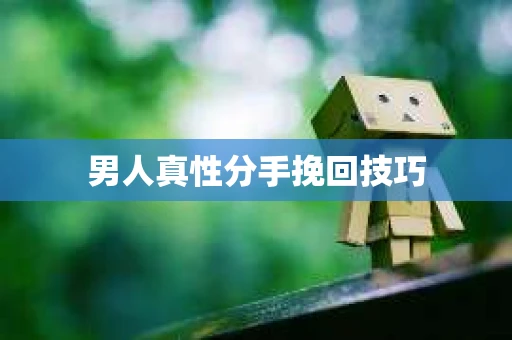 男人真性分手挽回技巧