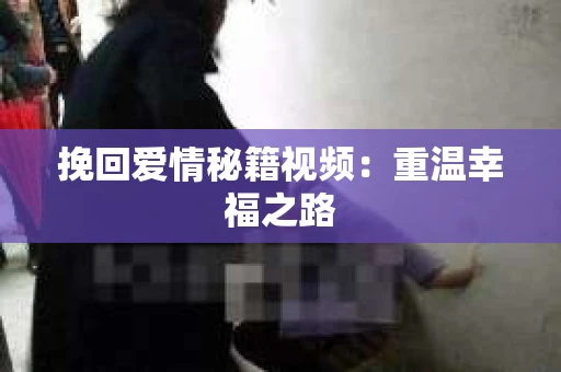挽回爱情秘籍视频：重温幸福之路
