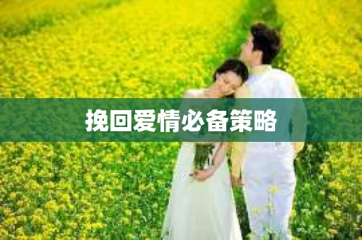 挽回爱情必备策略