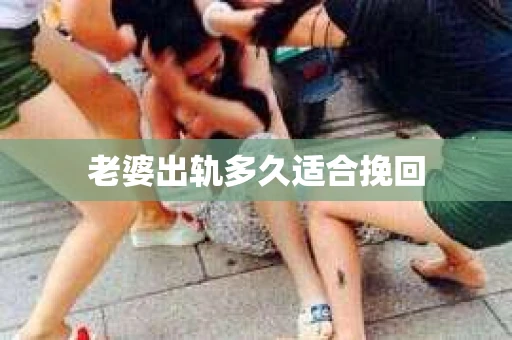 老婆出轨多久适合挽回