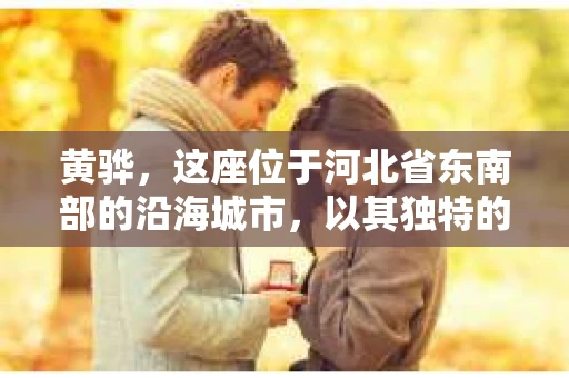 黄骅，这座位于河北省东南部的沿海城市，以其独特的地理位置和丰富的历史文化而闻名。然而，在这座城市中，还有一群人，他们以另一种方式默默守护着社会的公平与正义——私家侦探。今天，我们就来聊聊黄骅的私家侦探，看看他们是如何在这个城市中发挥作用的。