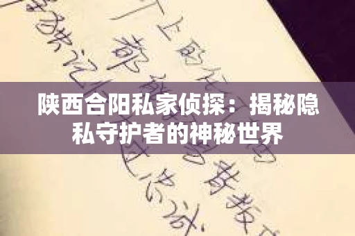 陕西合阳私家侦探：揭秘隐私守护者的神秘世界