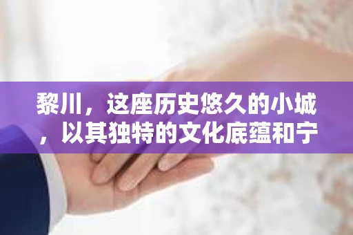 黎川，这座历史悠久的小城，以其独特的文化底蕴和宁静的生活节奏吸引着无数游客。然而，在这样一个看似平静的城市里，你是否会好奇，有没有私家侦探机构的存在呢？今天，就让我带你一探究竟。