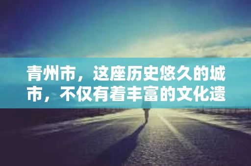 青州市，这座历史悠久的城市，不仅有着丰富的文化遗产，也有着现代生活的便捷。那么，问题来了——青州市有私家侦探公司吗？这个问题，对于需要侦探服务的人来说，无疑至关重要。接下来，我就来为大家揭开这个谜底。