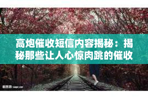 高炮催收短信内容揭秘：揭秘那些让人心惊肉跳的催收手段