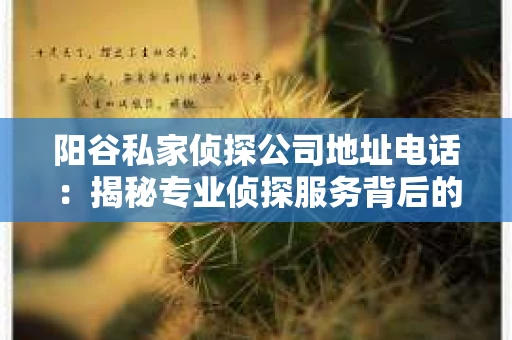 阳谷私家侦探公司地址电话：揭秘专业侦探服务背后的故事