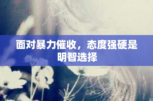 面对暴力催收，态度强硬是明智选择
