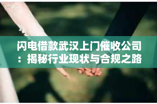 闪电借款武汉上门催收公司：揭秘行业现状与合规之路