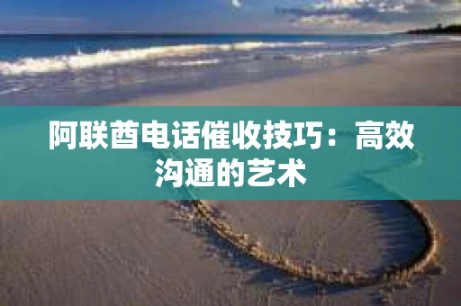 阿联酋电话催收技巧：高效沟通的艺术