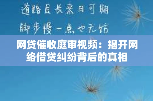 网贷催收庭审视频：揭开网络借贷纠纷背后的真相