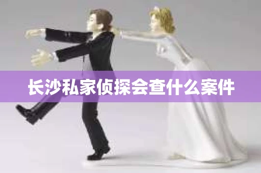 长沙私家侦探会查什么案件