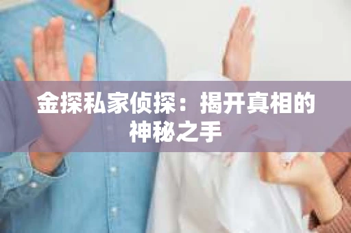 金探私家侦探：揭开真相的神秘之手