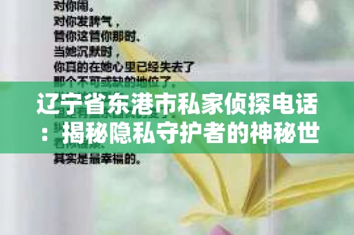 辽宁省东港市私家侦探电话：揭秘隐私守护者的神秘世界