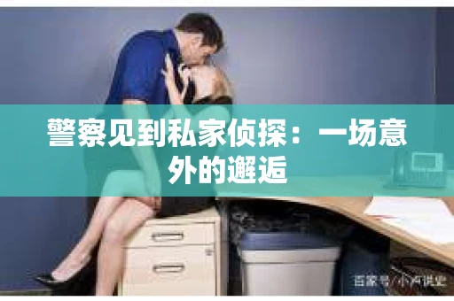 警察见到私家侦探：一场意外的邂逅