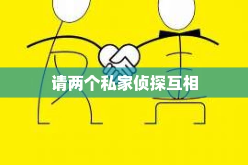 请两个私家侦探互相