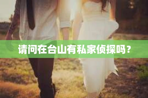 请问在台山有私家侦探吗？