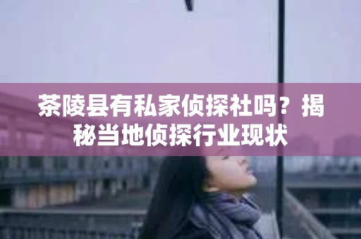 茶陵县有私家侦探社吗？揭秘当地侦探行业现状
