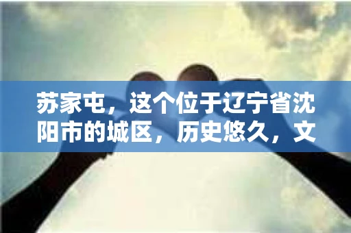 苏家屯，这个位于辽宁省沈阳市的城区，历史悠久，文化底蕴深厚。近年来，随着社会的发展，人们对于私家侦探的需求也逐渐增加。那么，苏家屯有私家侦探吗？今天，我们就来聊聊这个话题。
