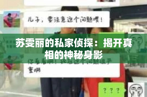 苏雯丽的私家侦探：揭开真相的神秘身影