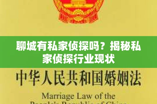 聊城有私家侦探吗？揭秘私家侦探行业现状