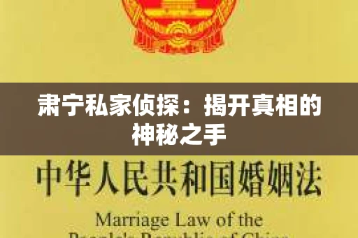 肃宁私家侦探：揭开真相的神秘之手