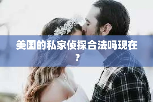 美国的私家侦探合法吗现在？