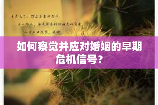 如何察觉并应对婚姻的早期危机信号？