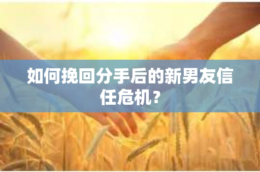 如何挽回分手后的新男友信任危机？