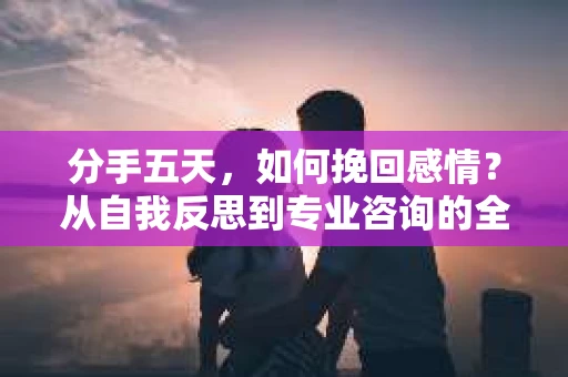 分手五天，如何挽回感情？从自我反思到专业咨询的全面解决方案