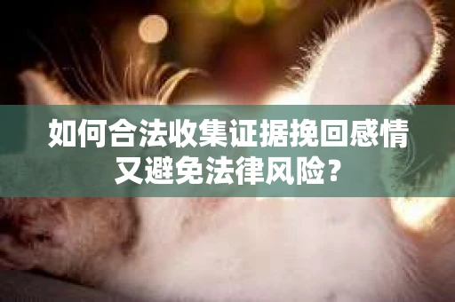 如何合法收集证据挽回感情又避免法律风险？