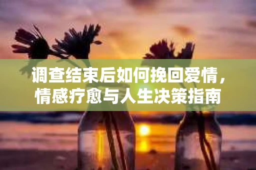调查结束后如何挽回爱情，情感疗愈与人生决策指南