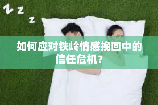 如何应对铁岭情感挽回中的信任危机？