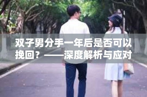 双子男分手一年后是否可以挽回？——深度解析与应对策略
