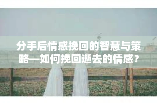 分手后情感挽回的智慧与策略—如何挽回逝去的情感? 分手后情感挽回的智慧与策略—如何挽回逝去的情感?